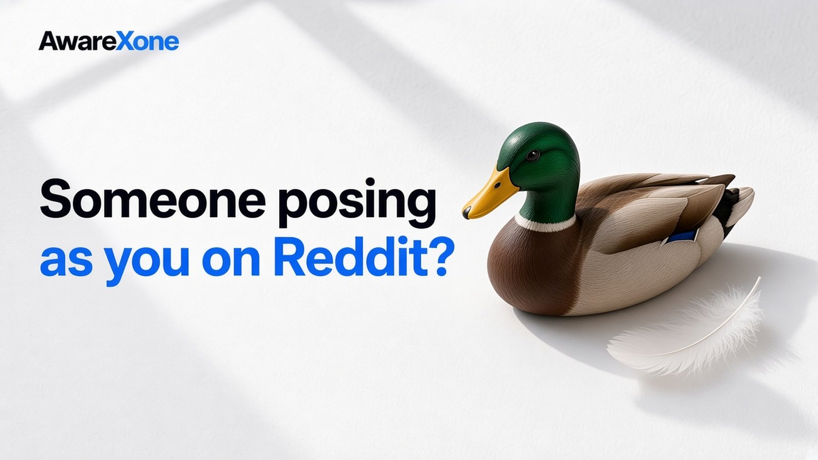 AwareXone Research cover reading 'Someone posing as you on Reddit?' beside a photo of a painted wooden decoy duck beside a single real feather.